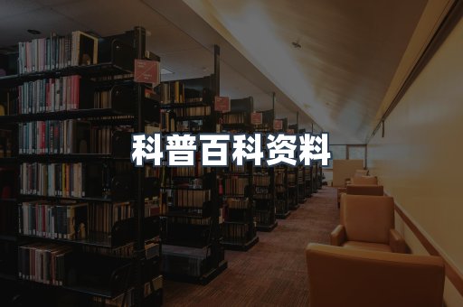 外文电子书系列